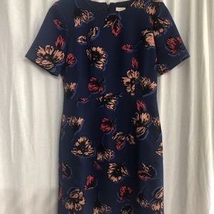 Sheath dress with long cap sleeves